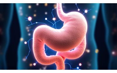 Diagram illustrating the connection between the gut and brain, with neurons and gut flora shown.